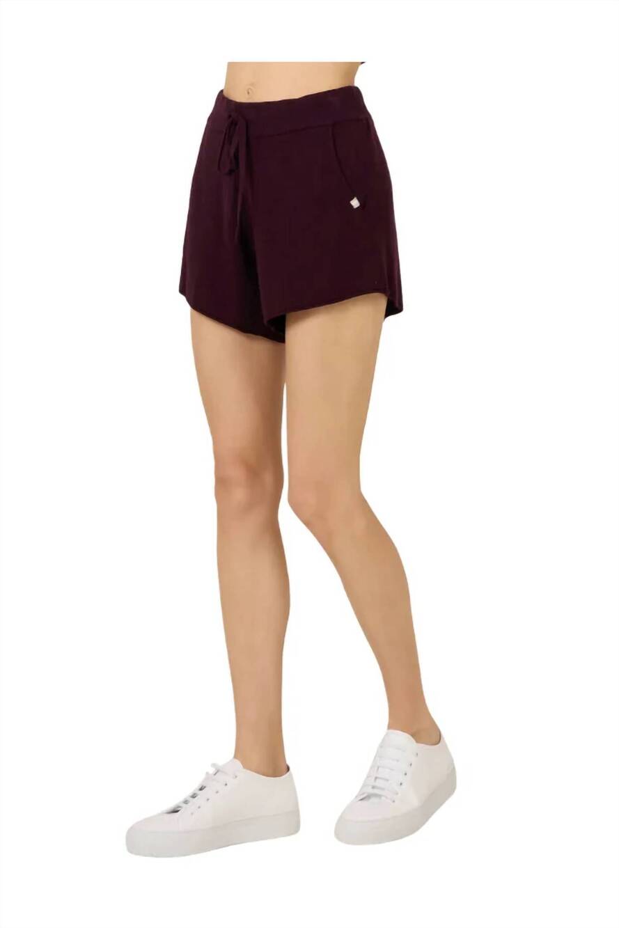 NEW ONE GREY DAY warwick double stripe short in syrah